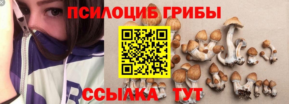 Псилоцибиновые грибы MAGIC MUSHROOMS  Вход с VPN  Урус-Мартан 
